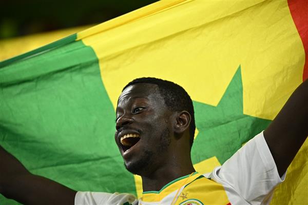 شاهد جماهير السنغال وكرنفالات افريقية مع الهولنديين في مدرجات كأس العالم